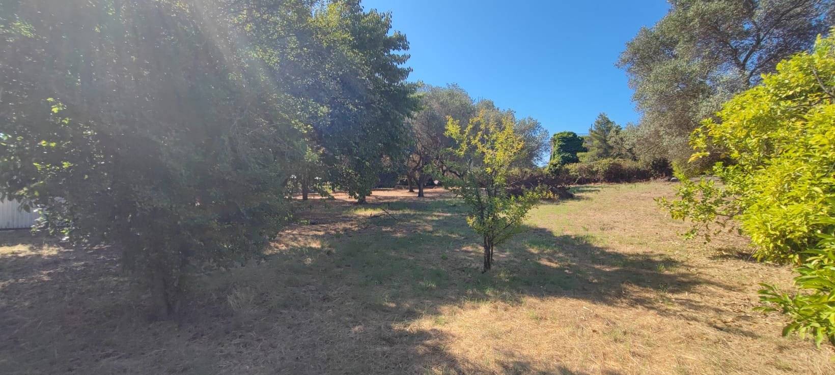 Terreno