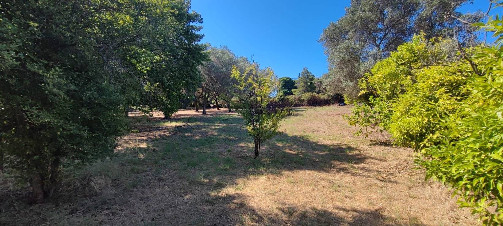 Terreno