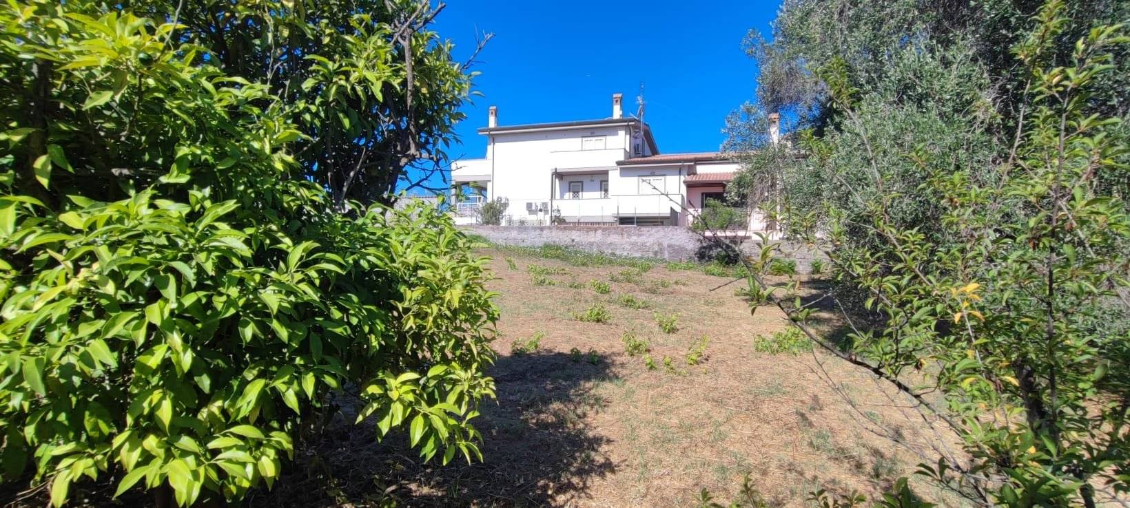 Terreno