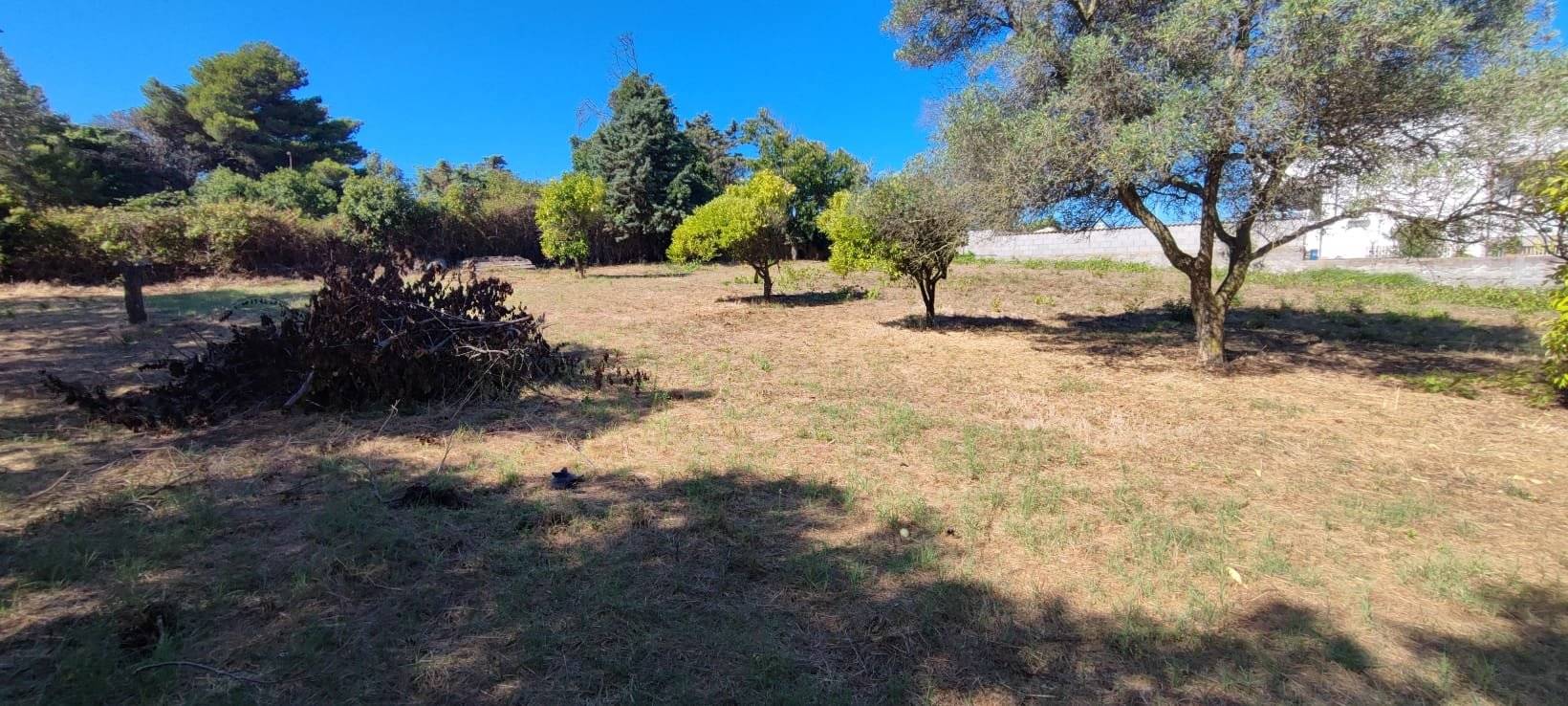 Terreno