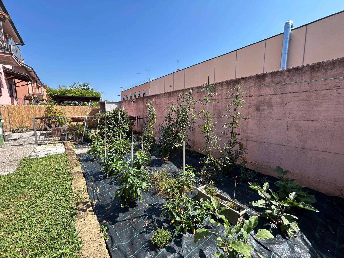Giardino
