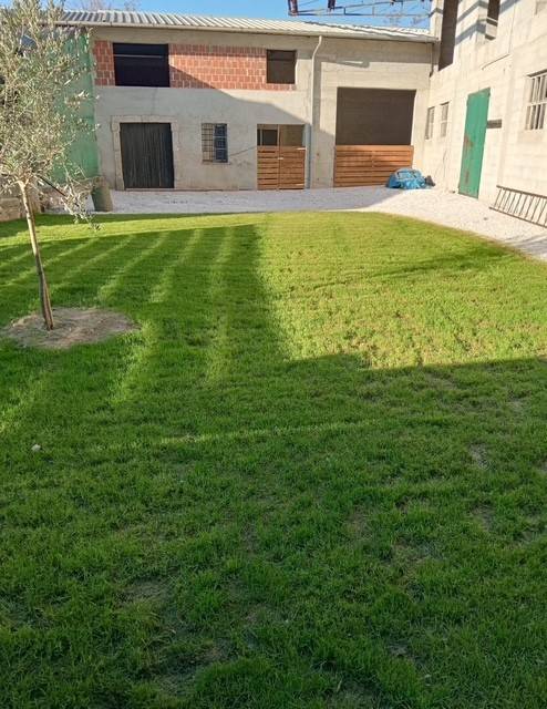 Giardino