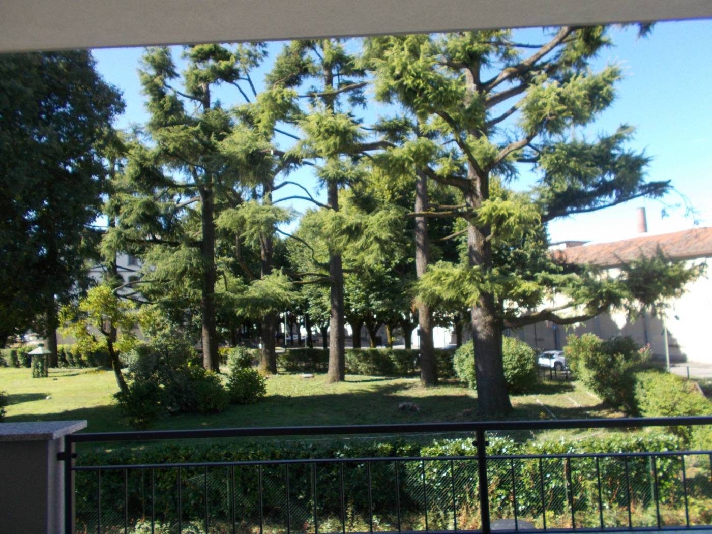 Vista