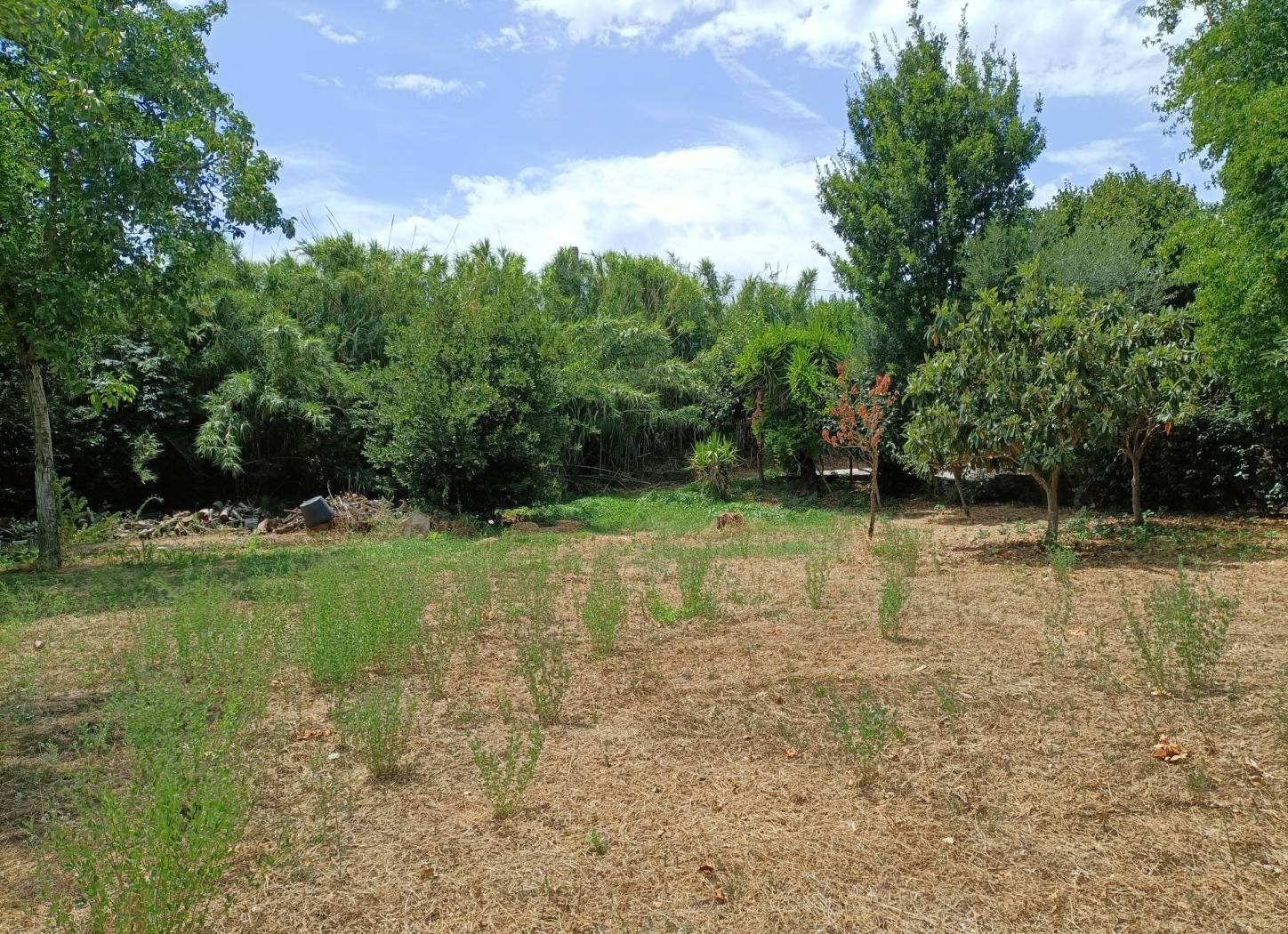 Terreno