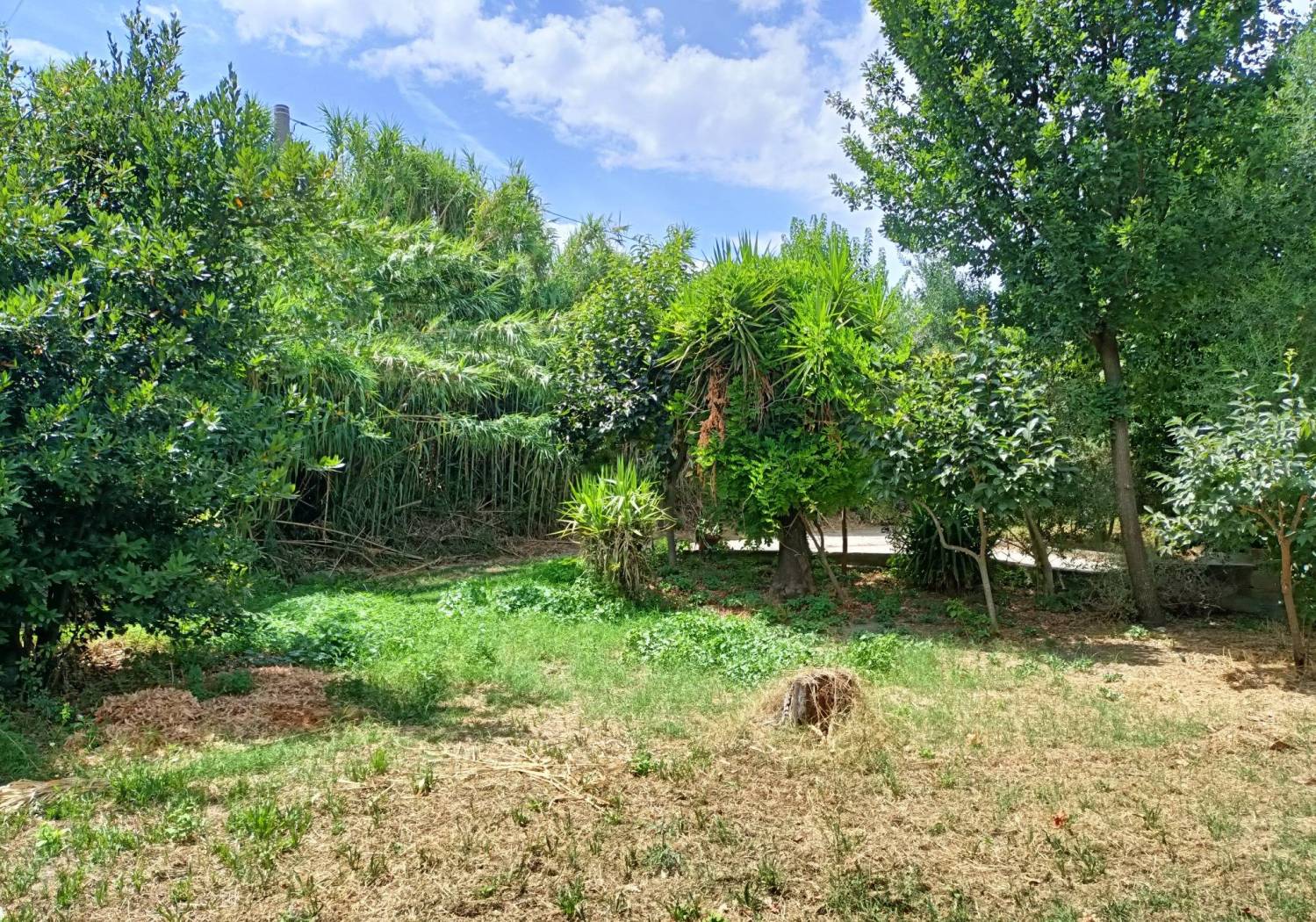 Terreno