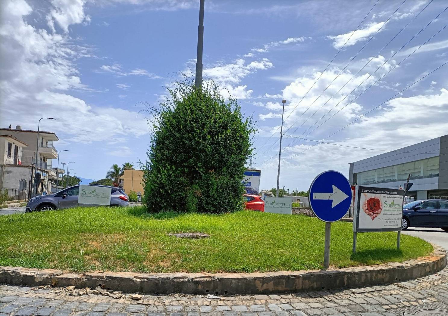 Zona