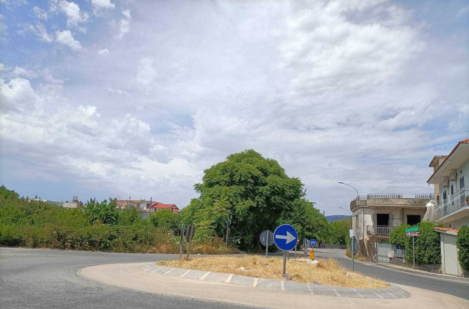 Zona