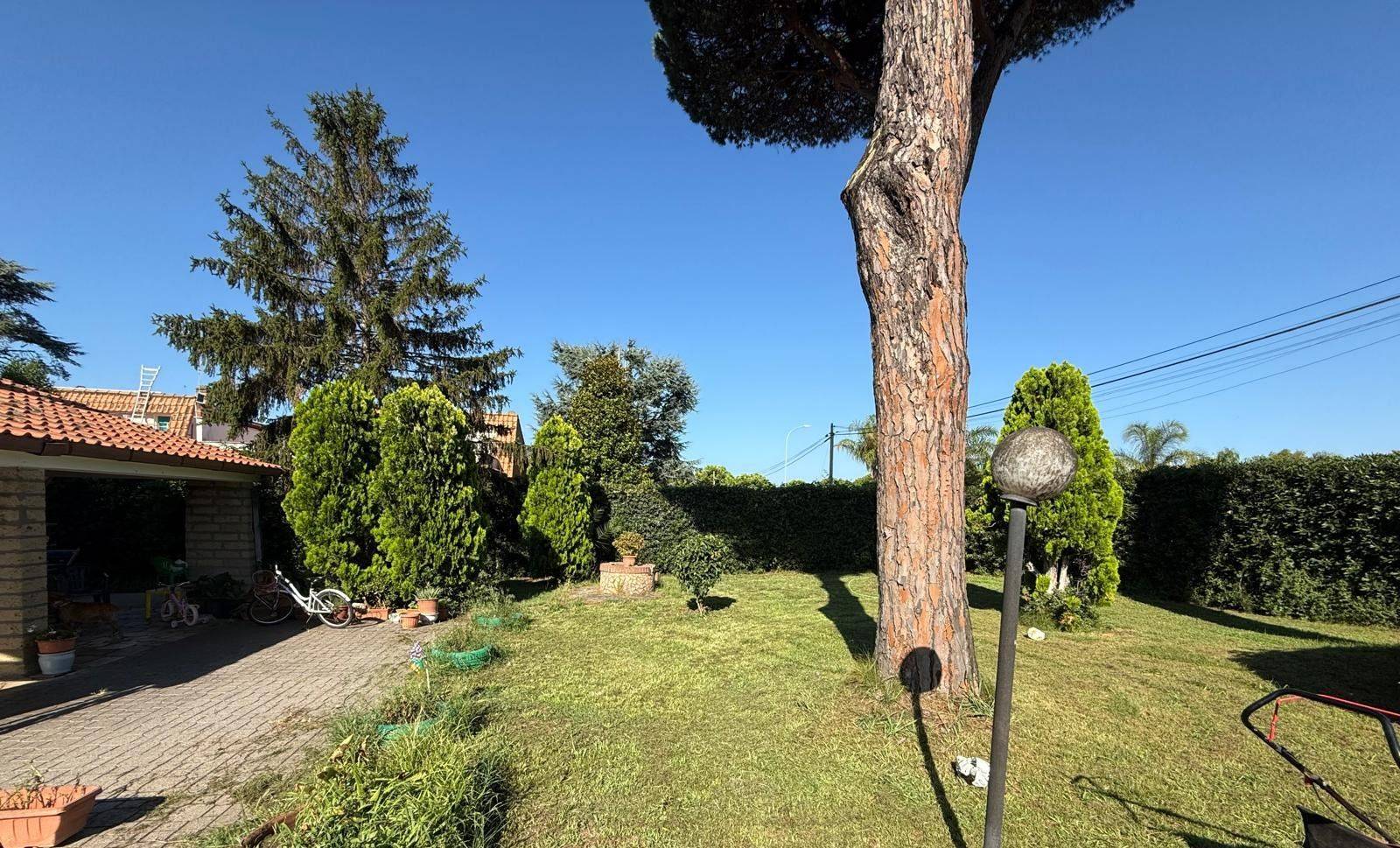 Giardino