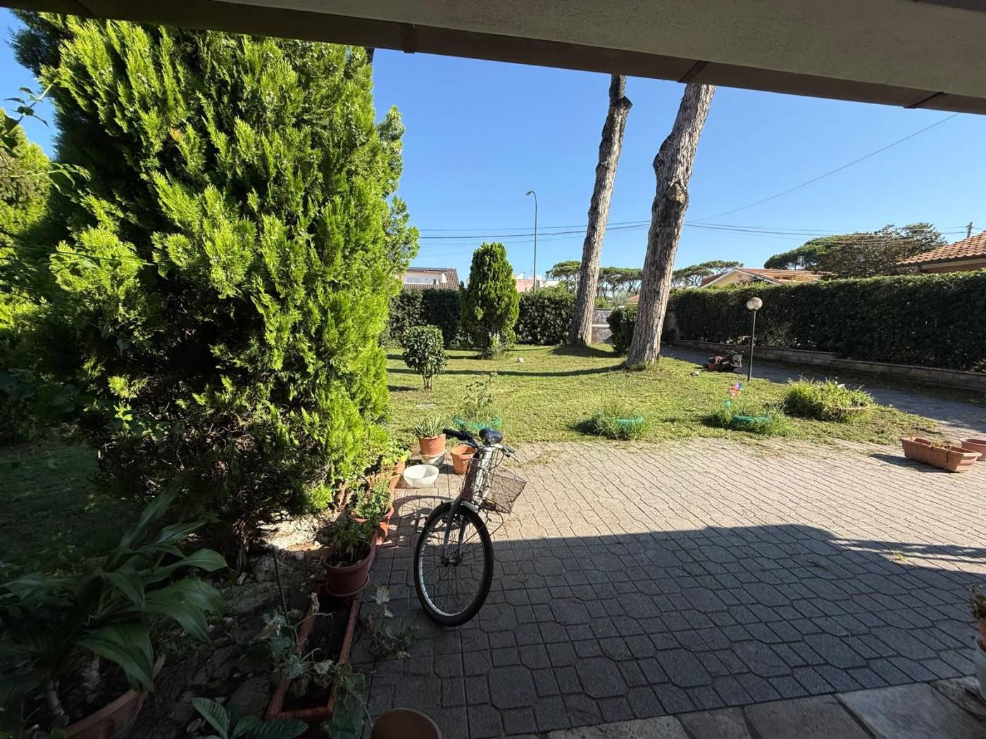 Giardino
