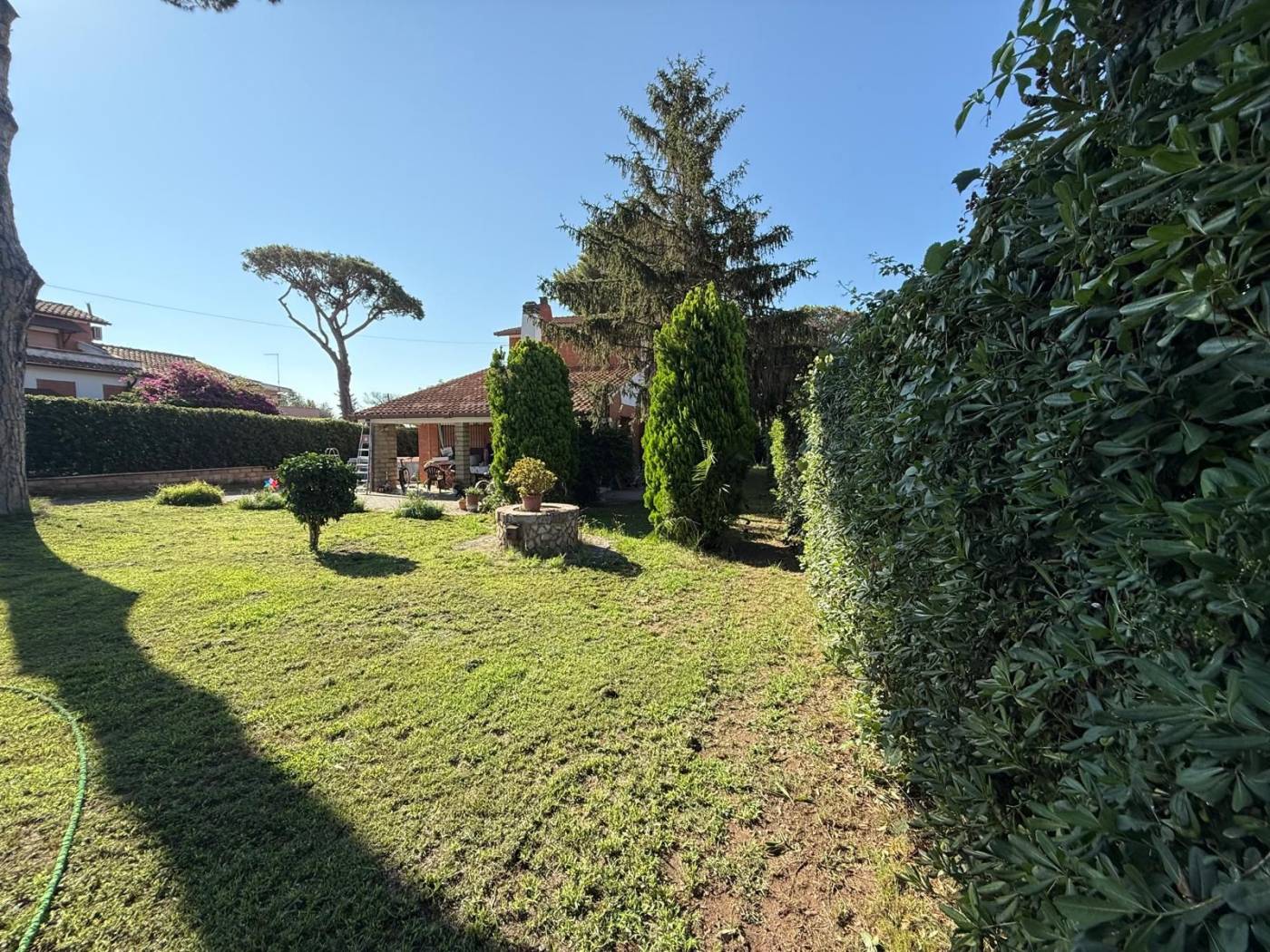 Giardino
