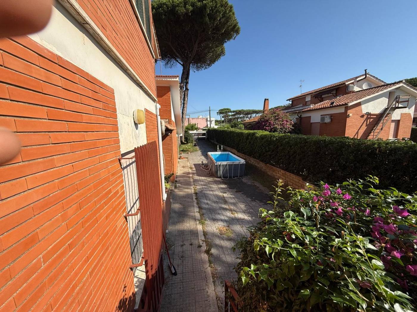 Giardino