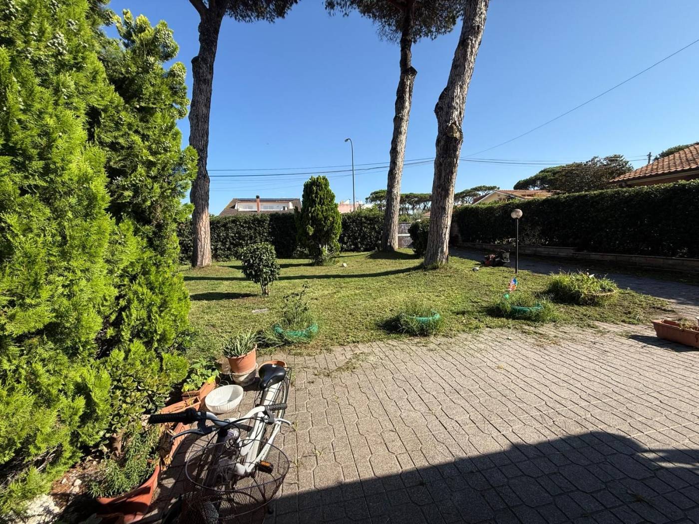 Giardino