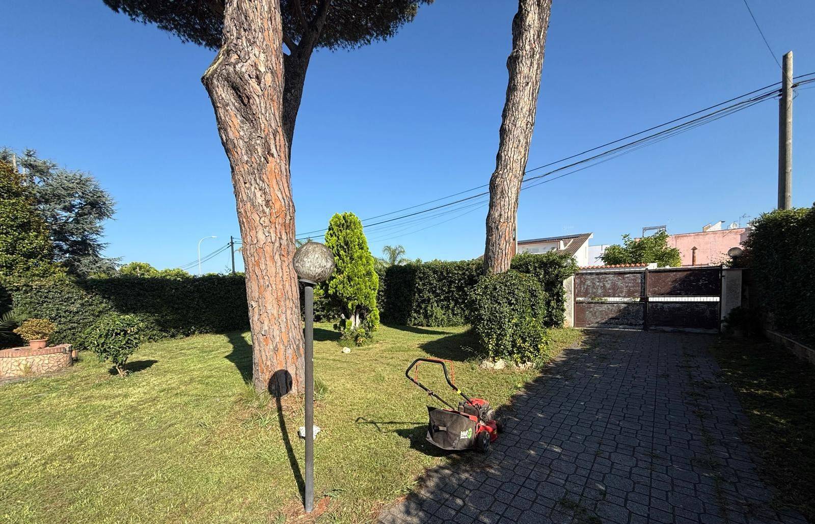Giardino