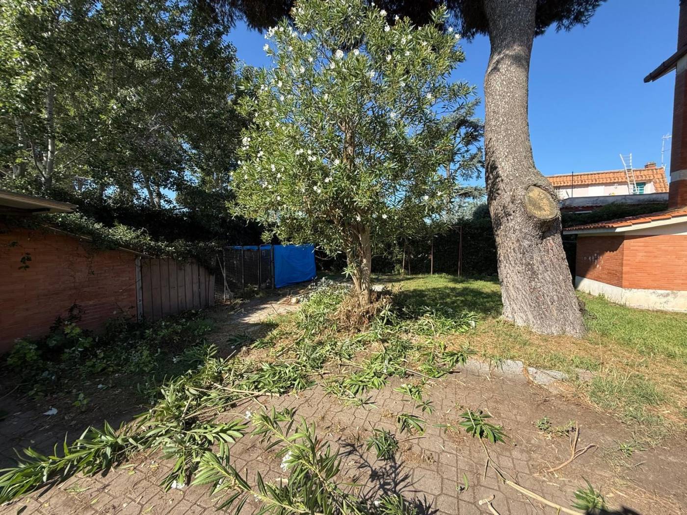 Terreno