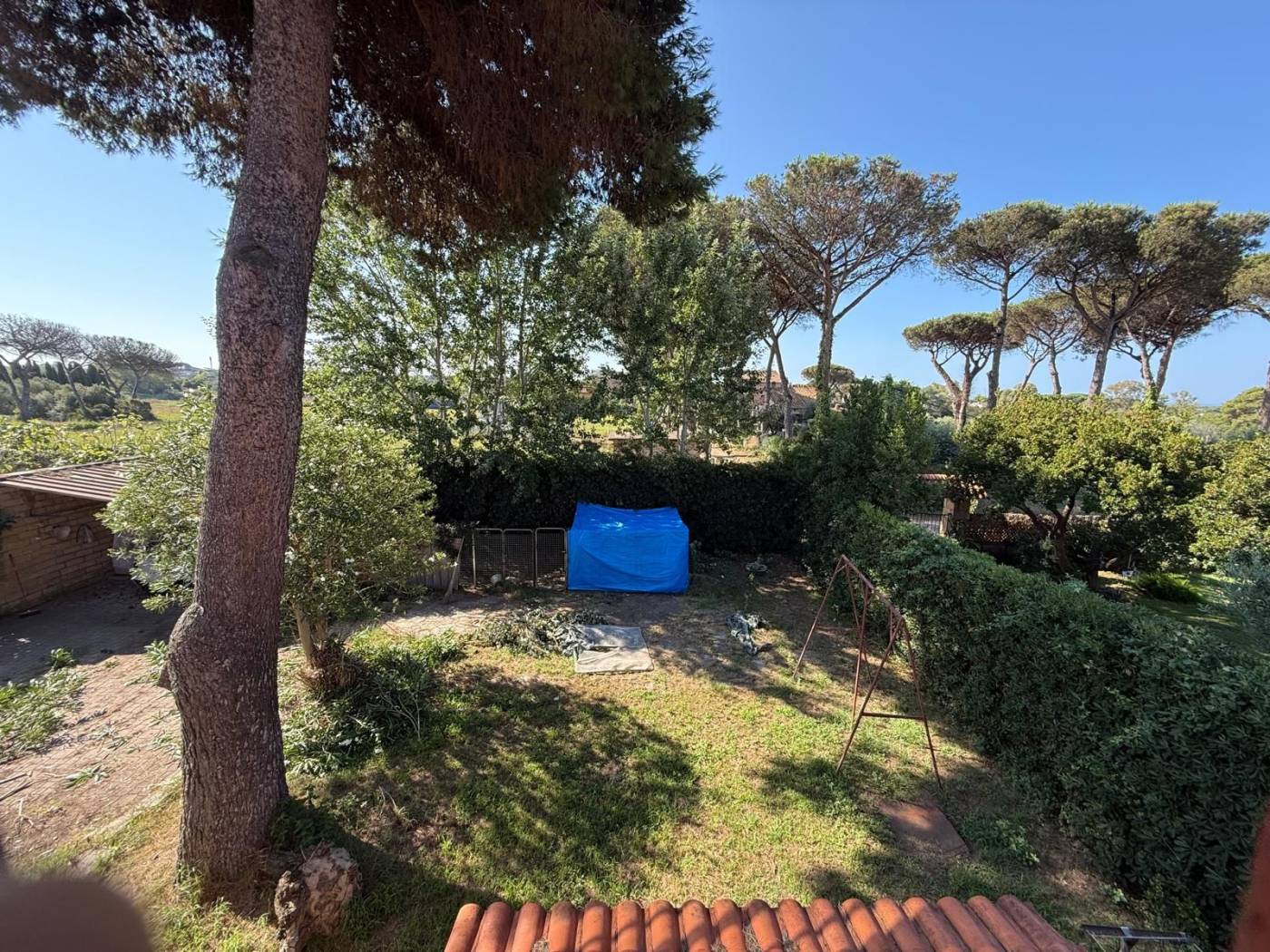 Giardino