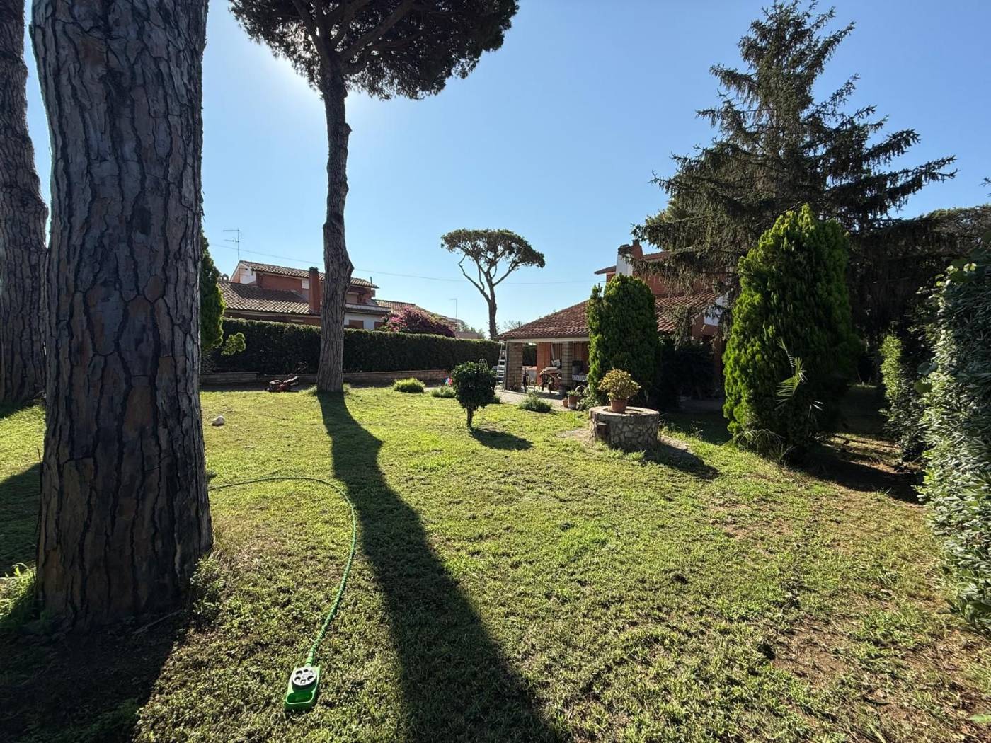 Terreno