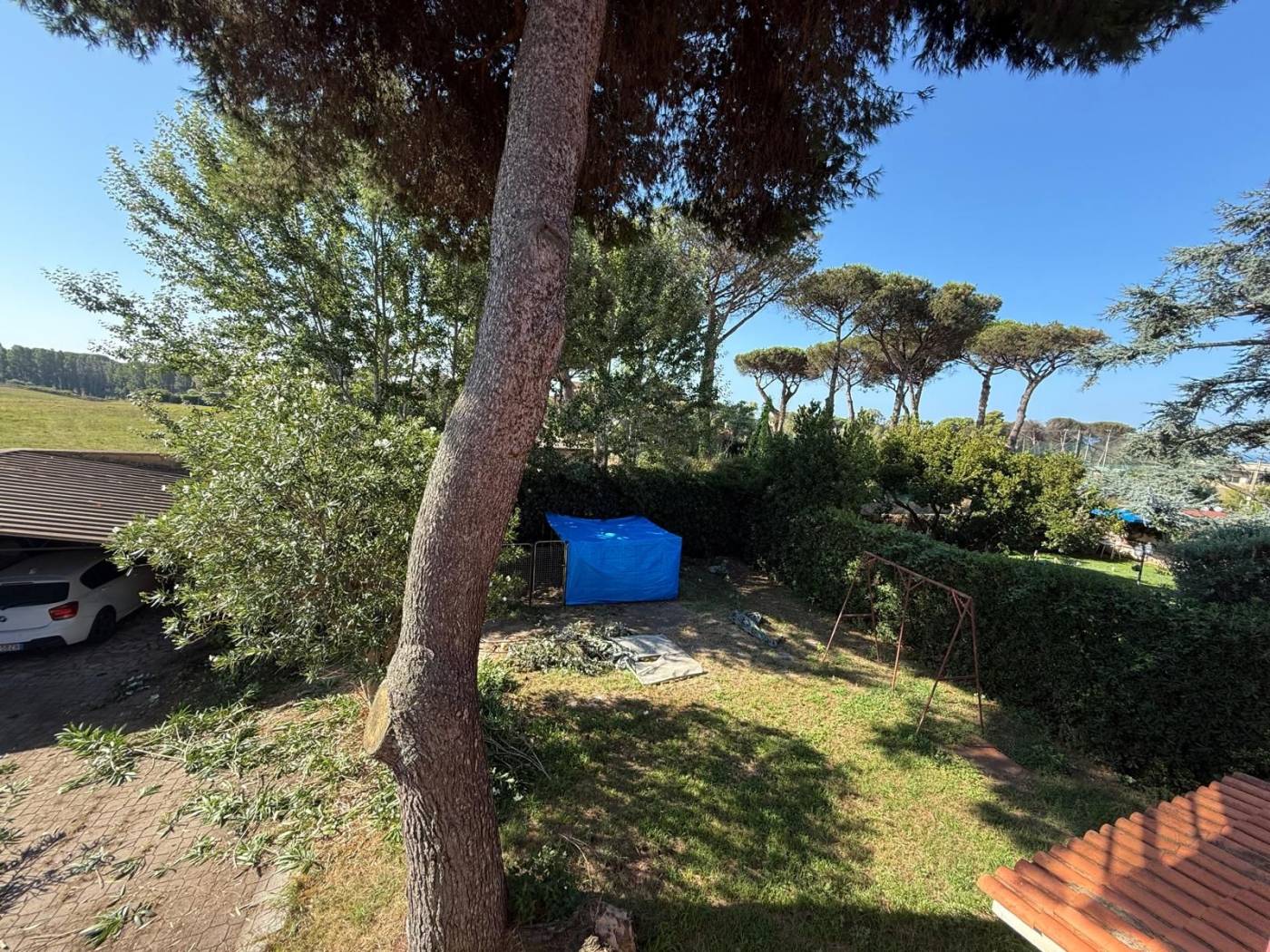 Giardino