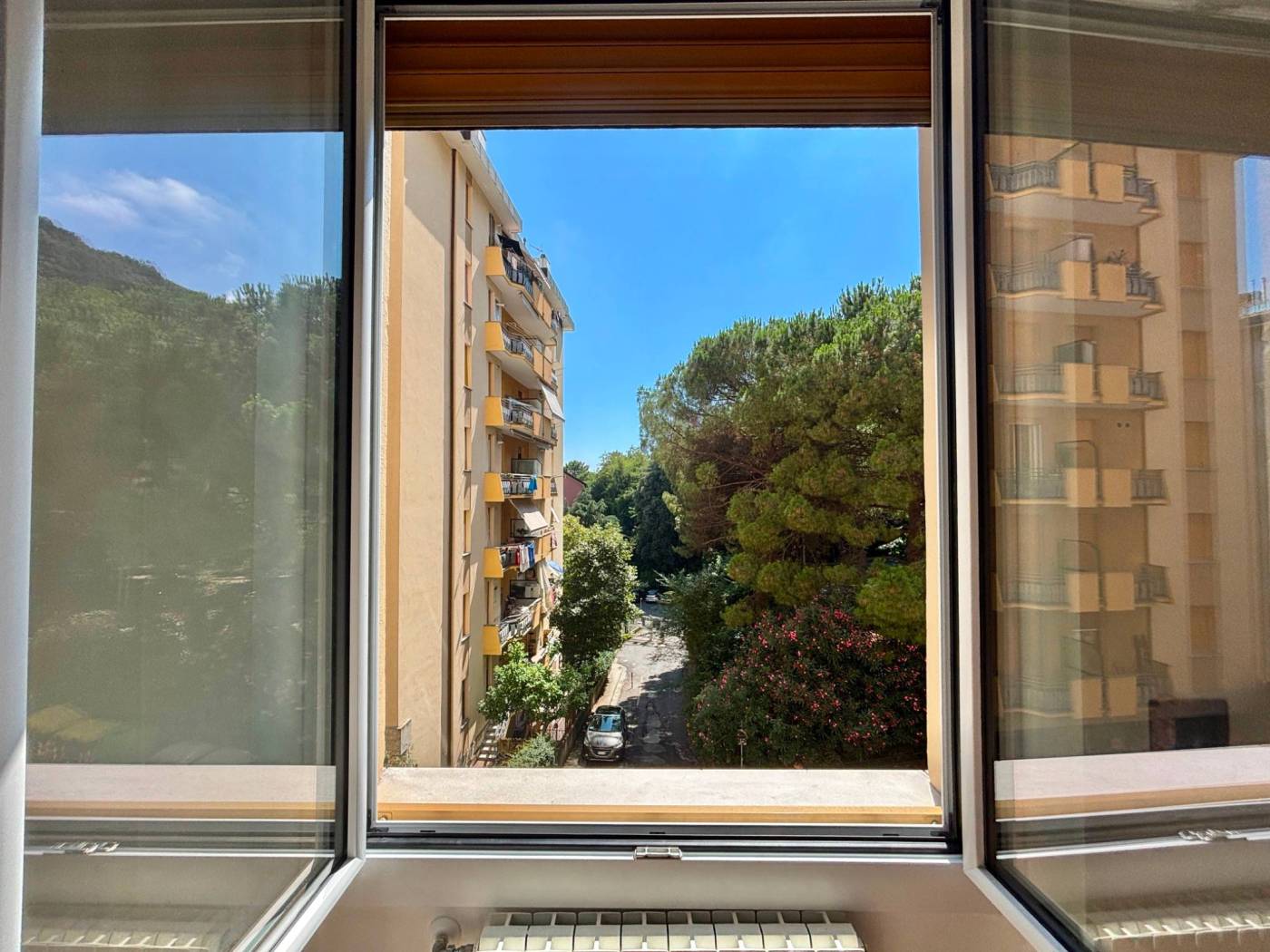 Vista