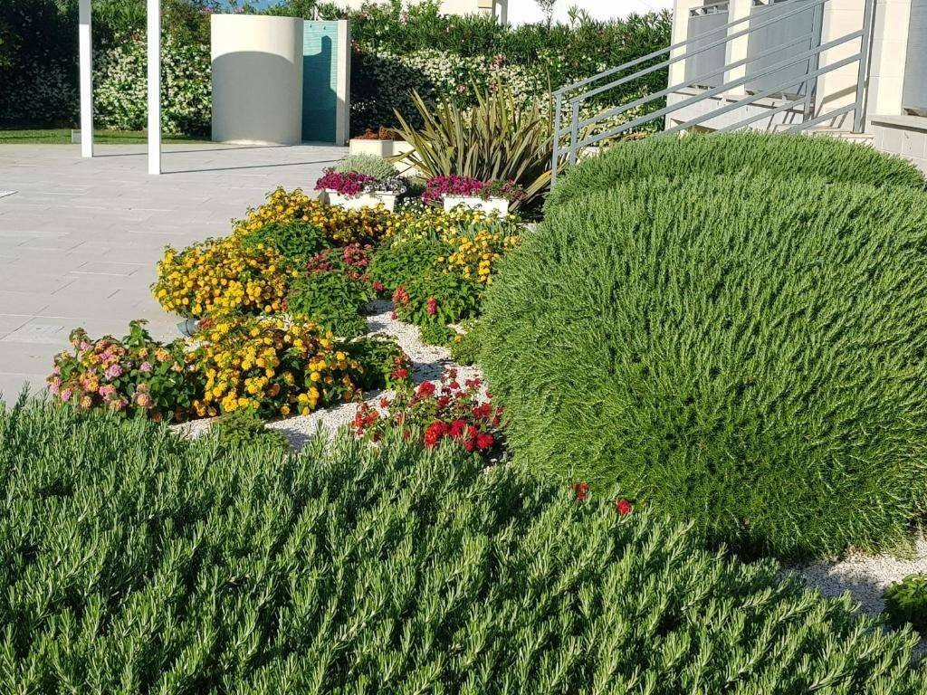 Giardino
