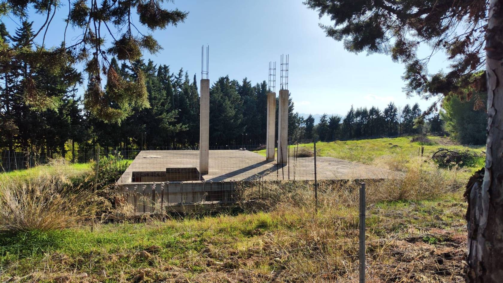 Terreno