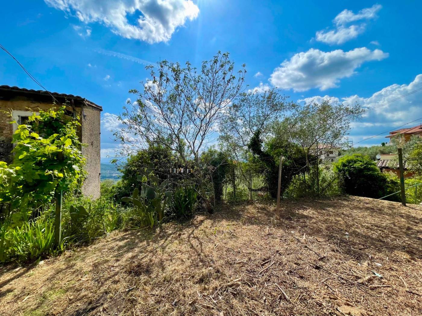 Giardino