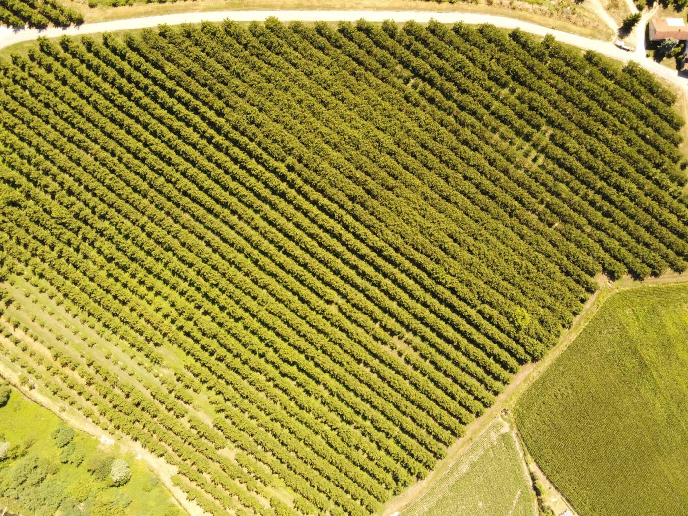 Terreno Terreno