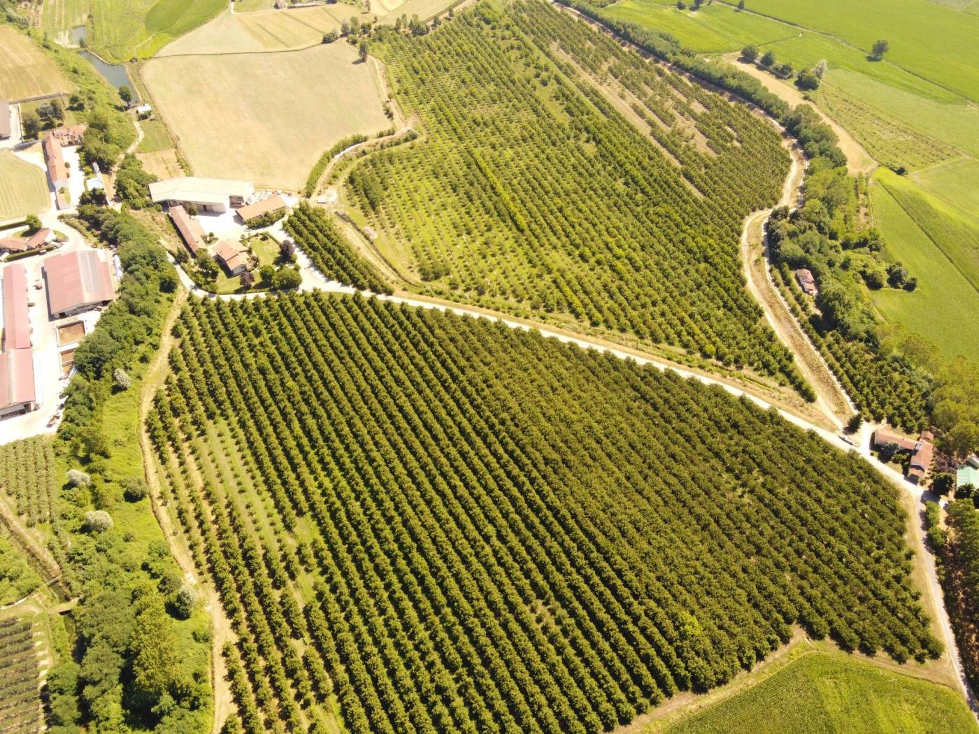 Terreno Terreno
