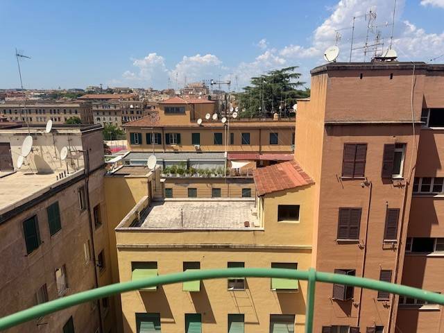 Vista