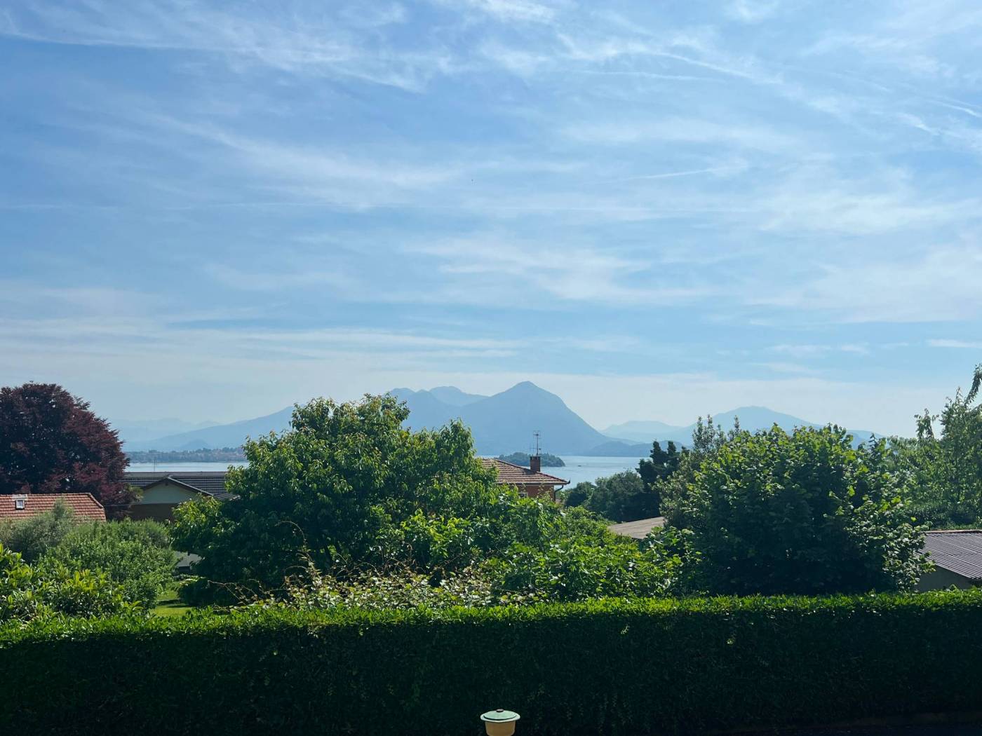 Vista