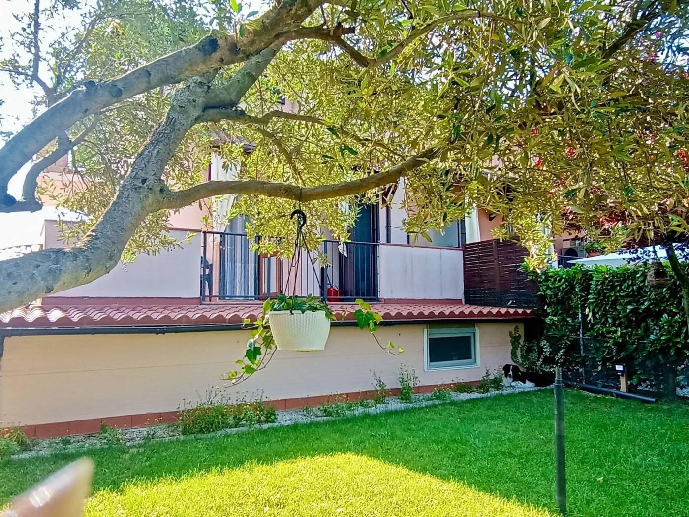 Giardino