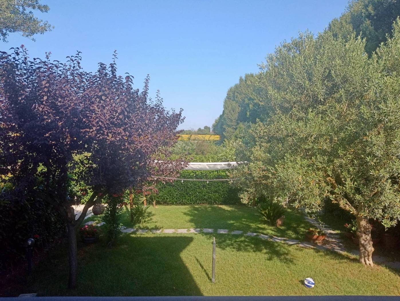 Giardino
