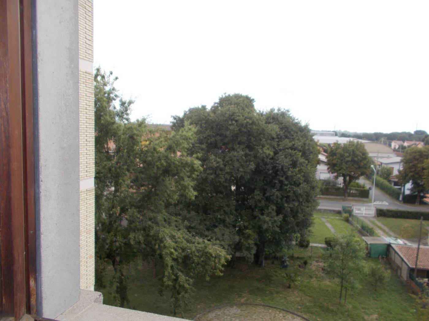 Vista