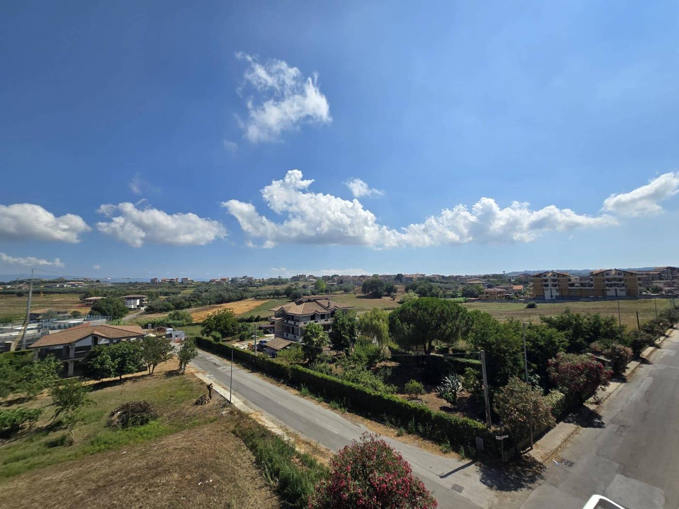 Vista