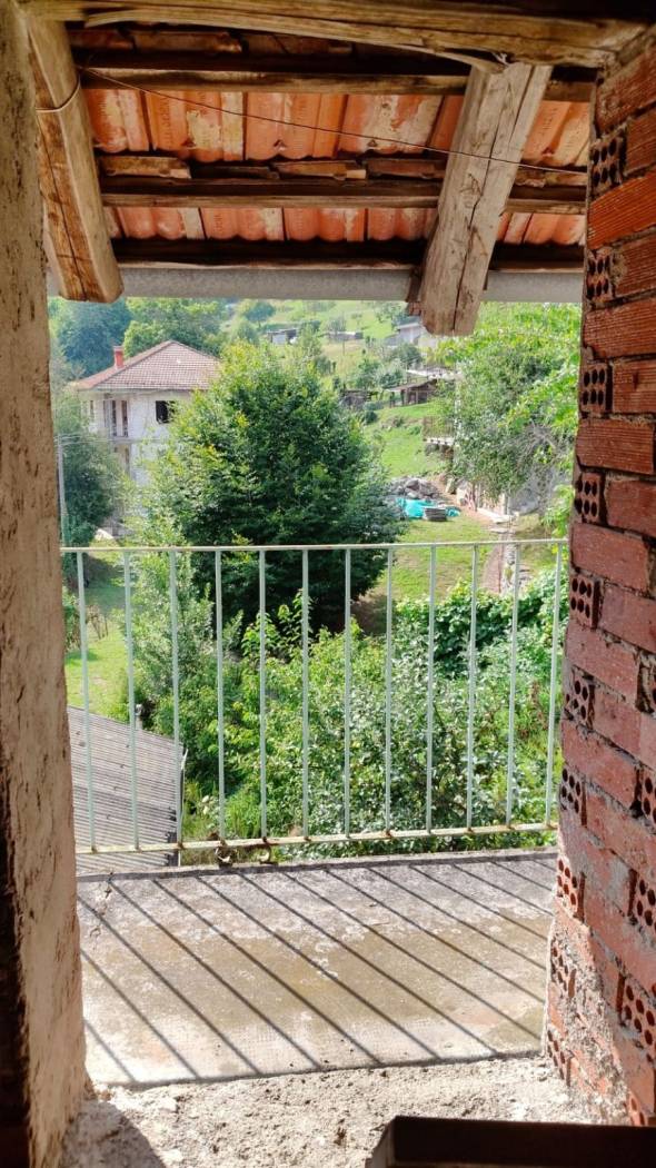 Vista