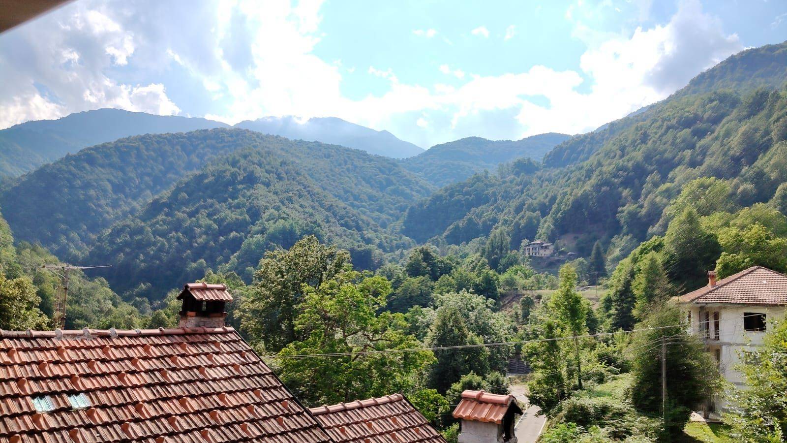 Vista