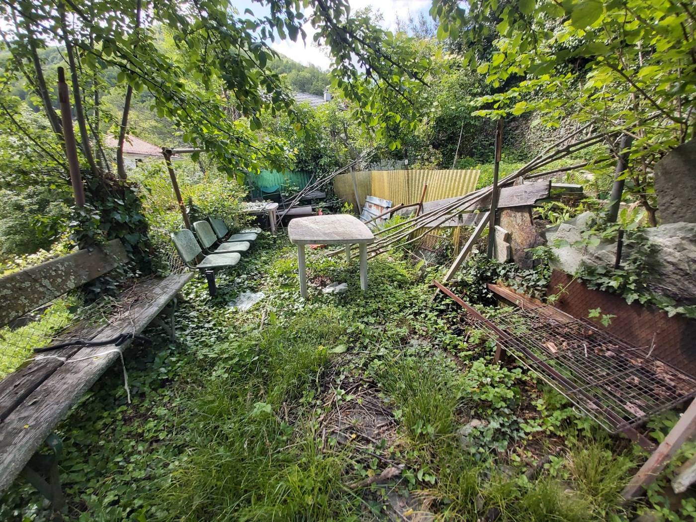 Giardino