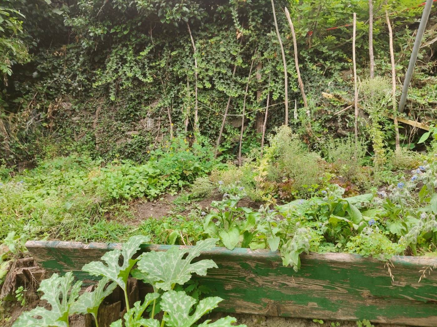 Terreno