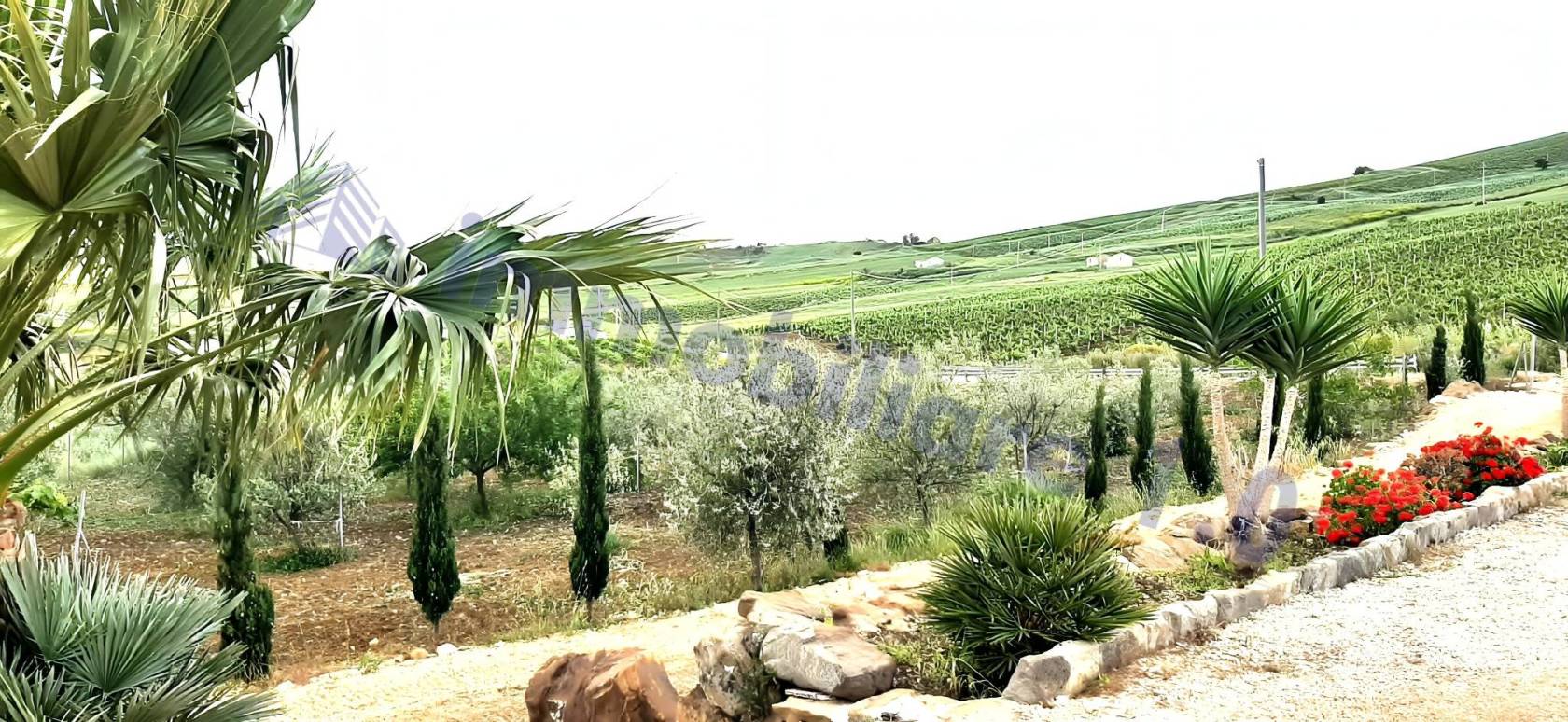 Terreno