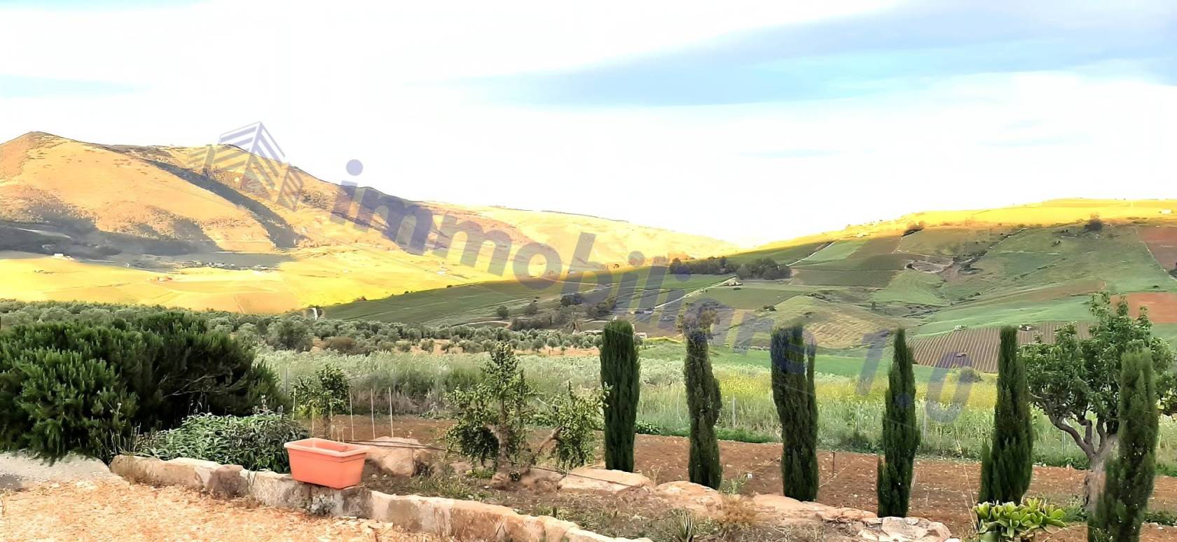 Vista