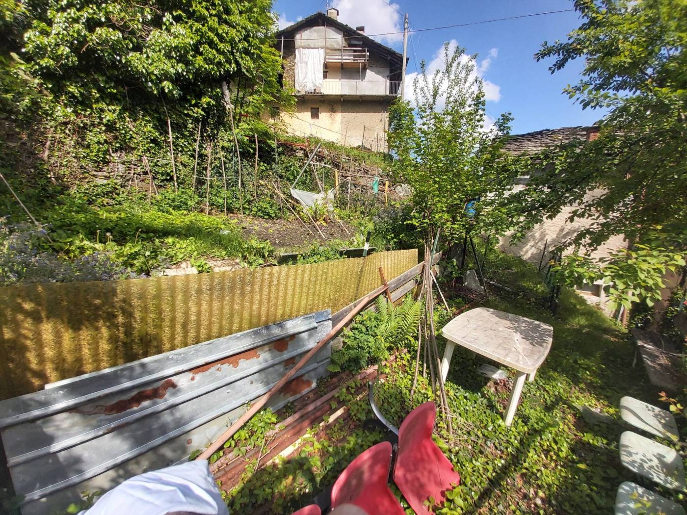 Giardino