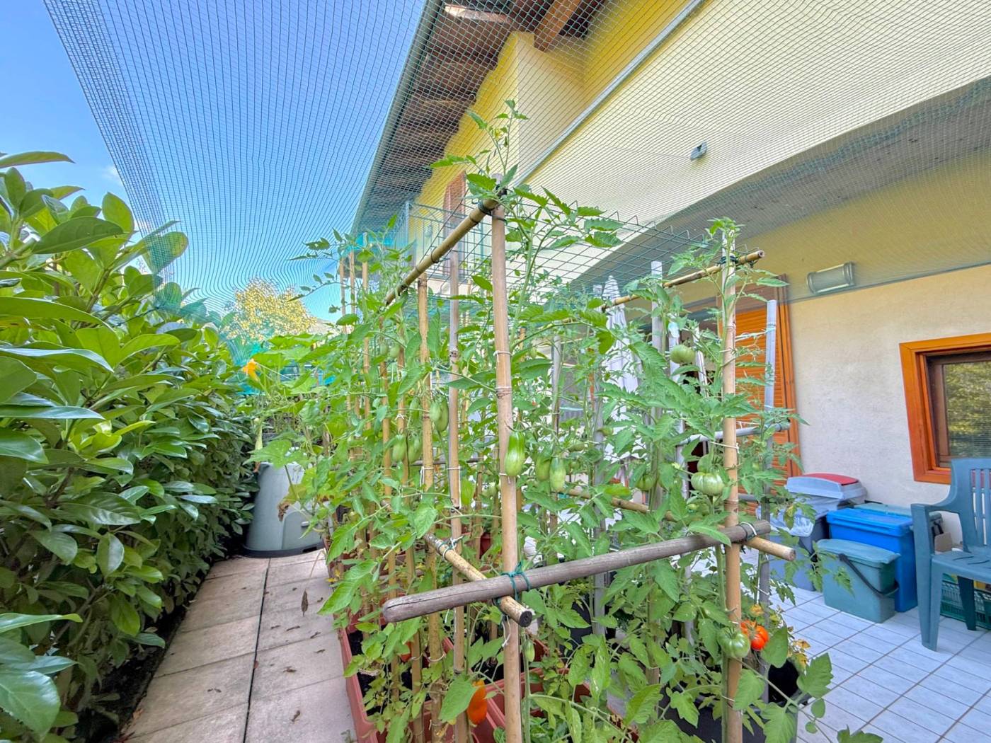 Giardino