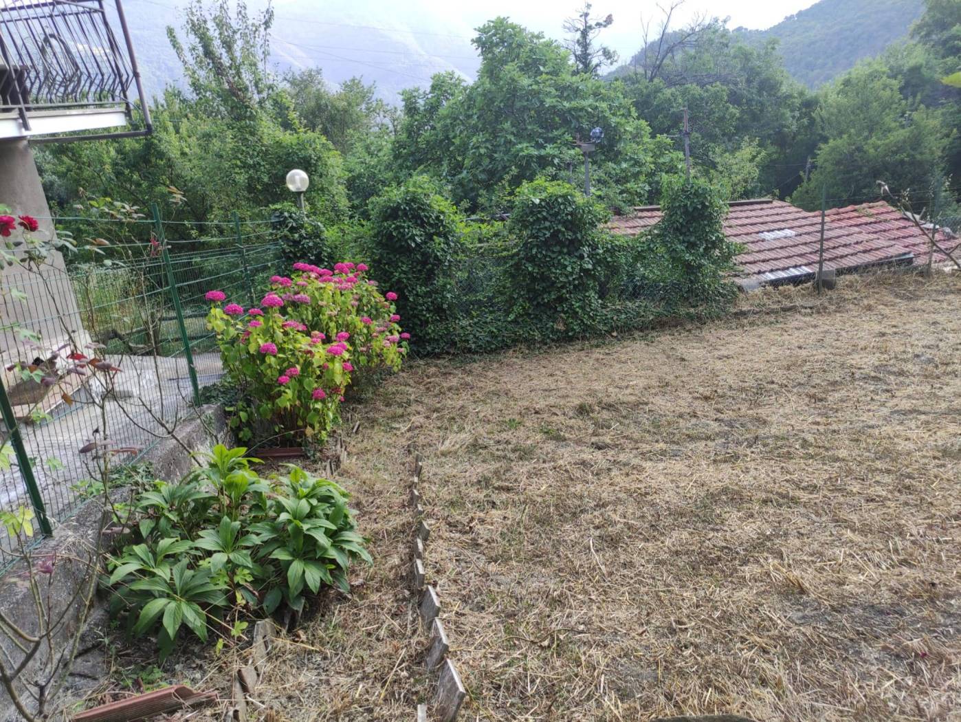 Terreno