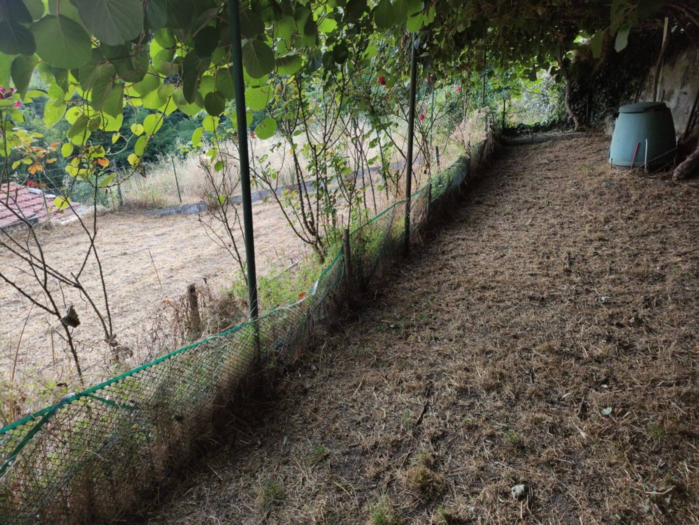 Terreno