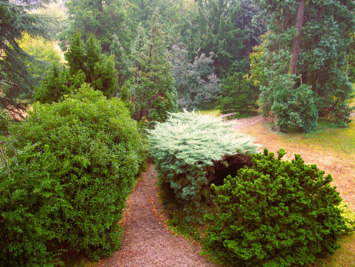 Giardino