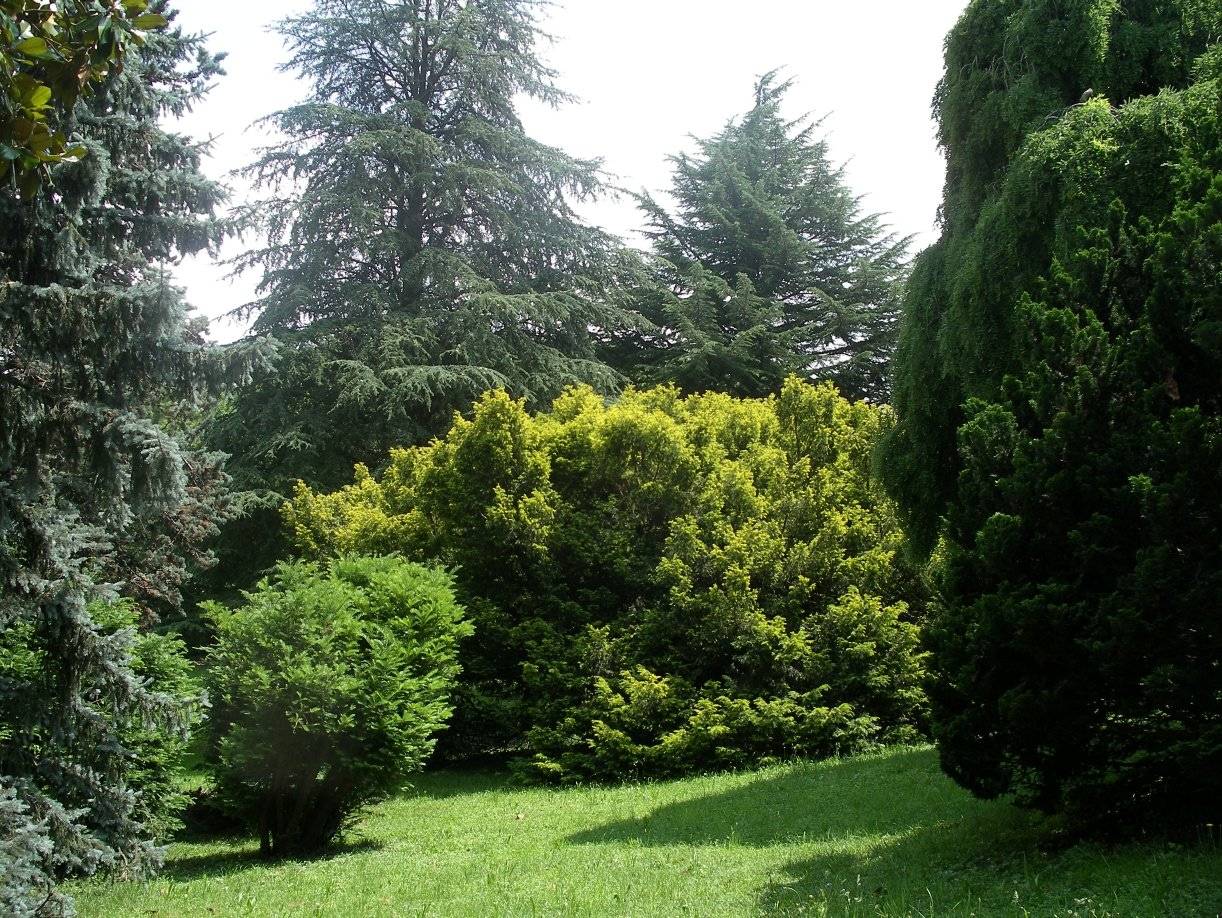 Terreno