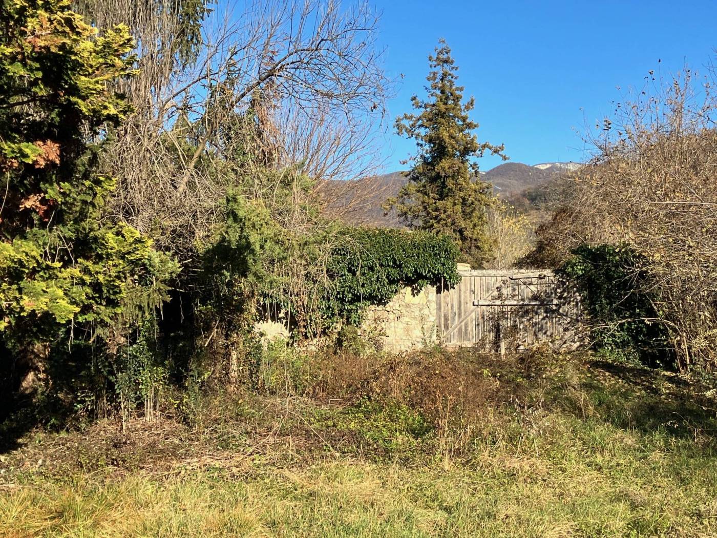 Terreno