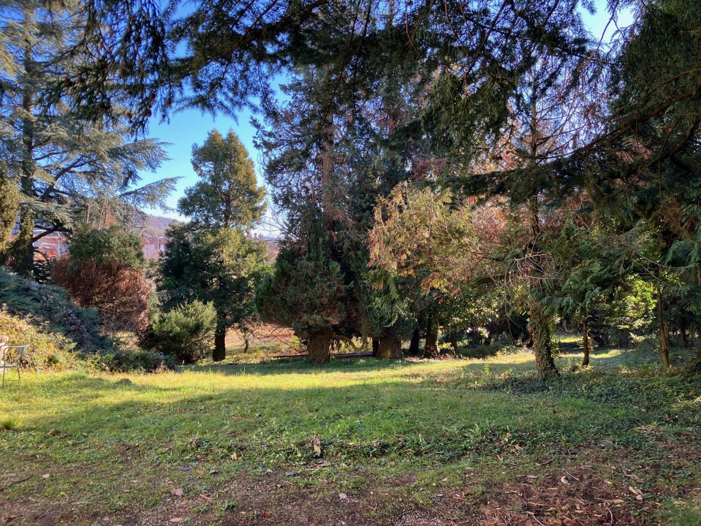 Terreno
