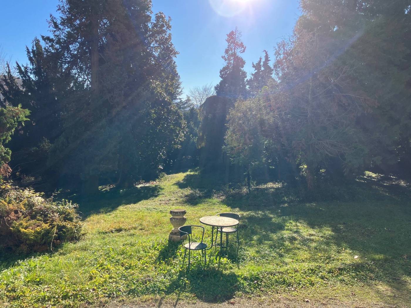 Terreno