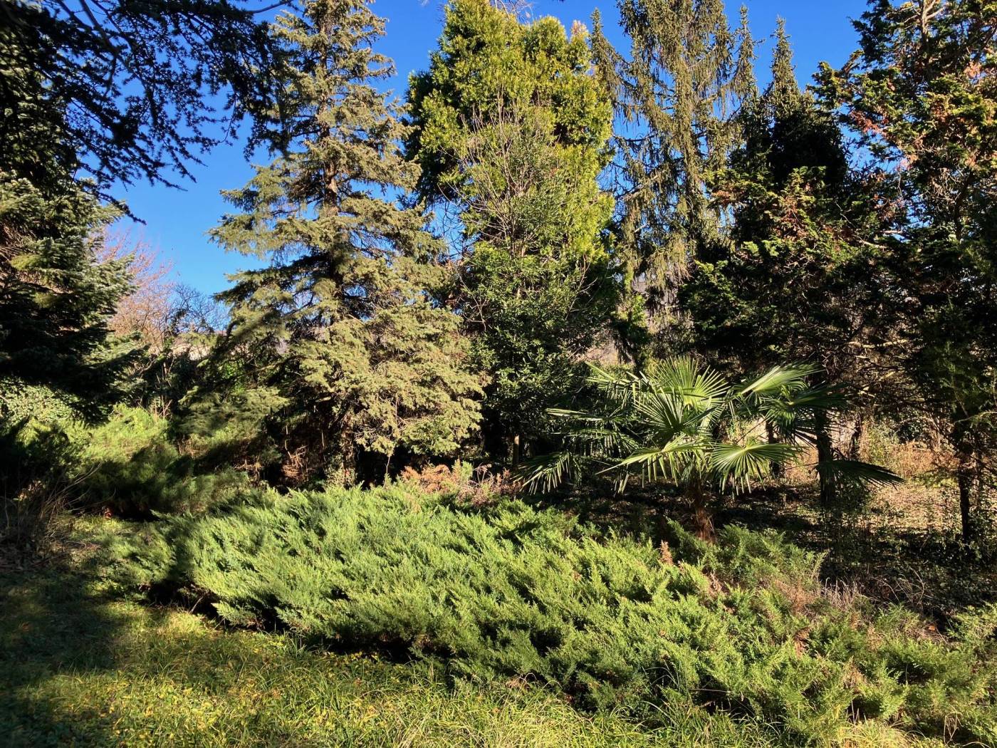 Terreno