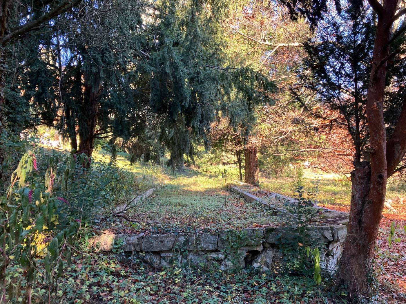 Terreno